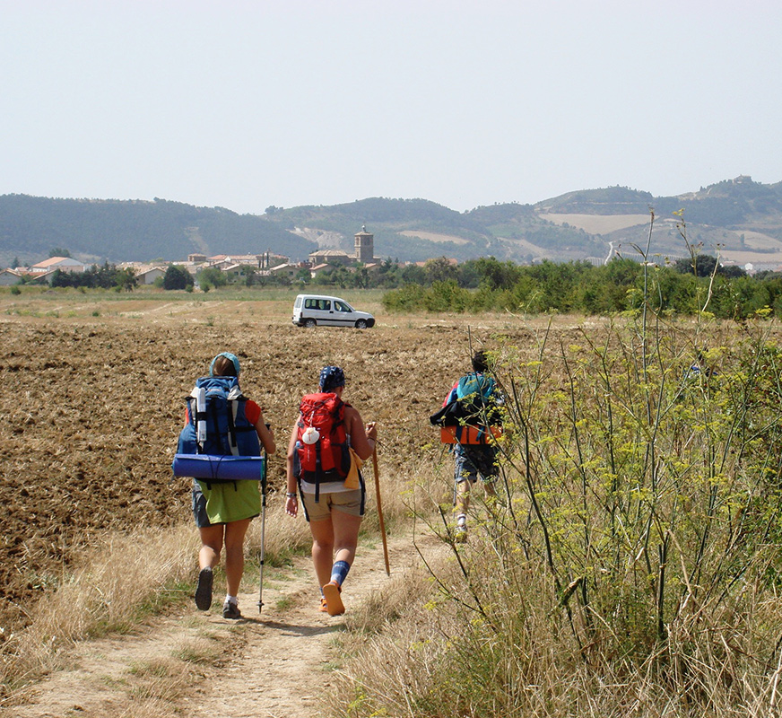 pilgrims-walking-2