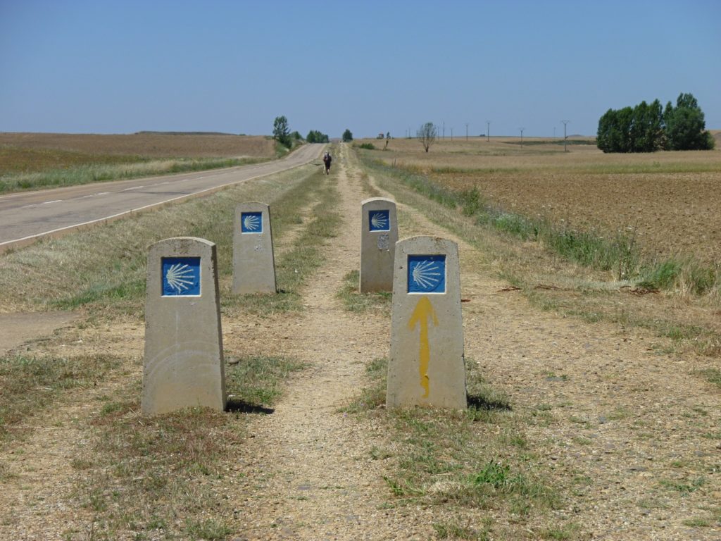 Camino waymarkers near an agricultural field