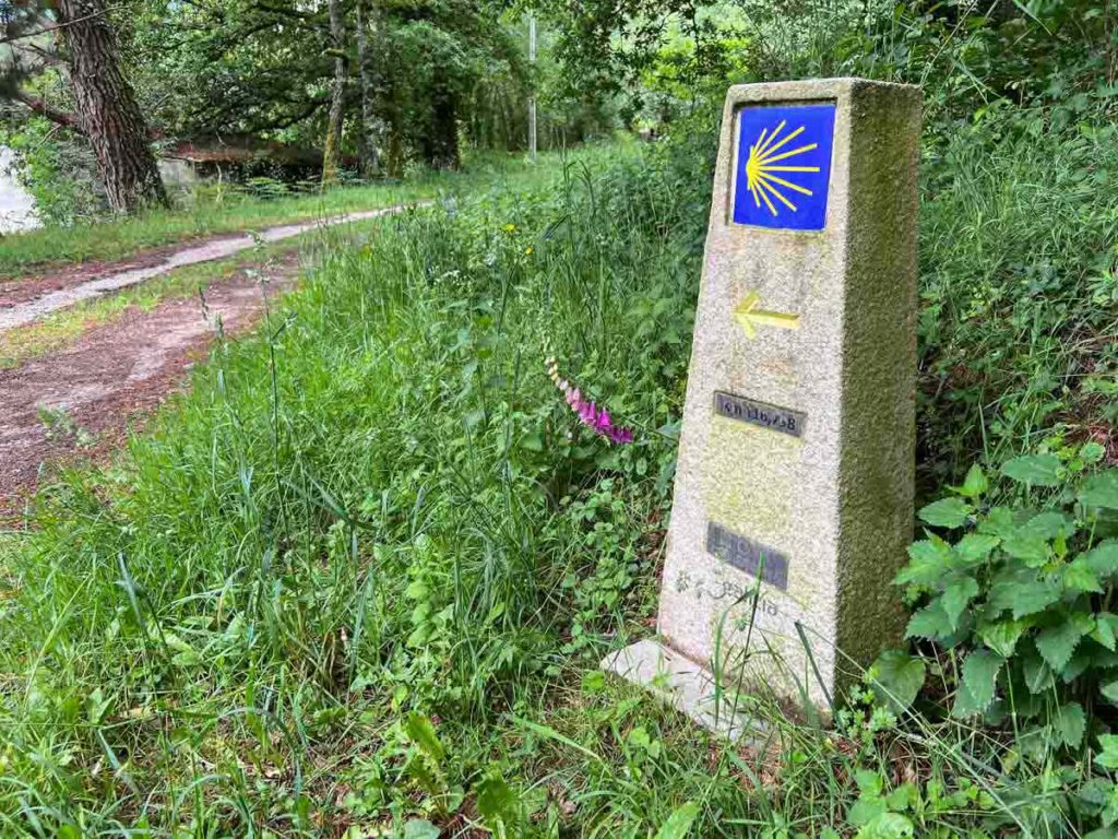 Camino de santiago Primitivo waymarker