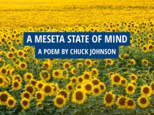 A Meseta State of Mind Poem.
