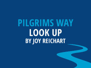 Look Up Joy Reichart.