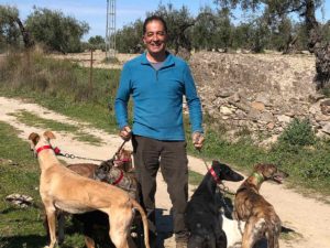 M. J O'Meara Lost Man with Dogs feature.