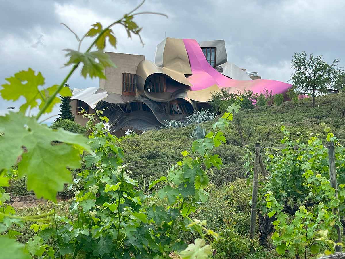 La Rioja Marques de Riscal vineyard.