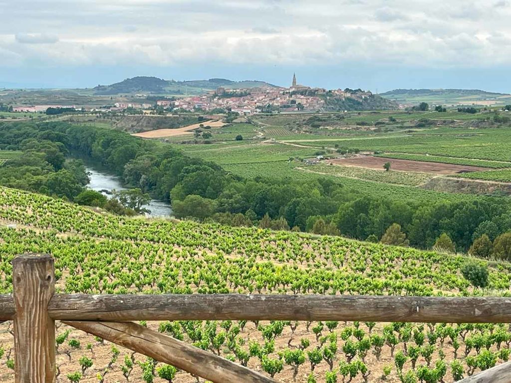 La Rioja Bodega Hacienda summer 2024 la concha