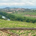 La Rioja Bodega Hacienda summer 2024 la concha La Rioja Bodega Hacienda summer 2024 la concha