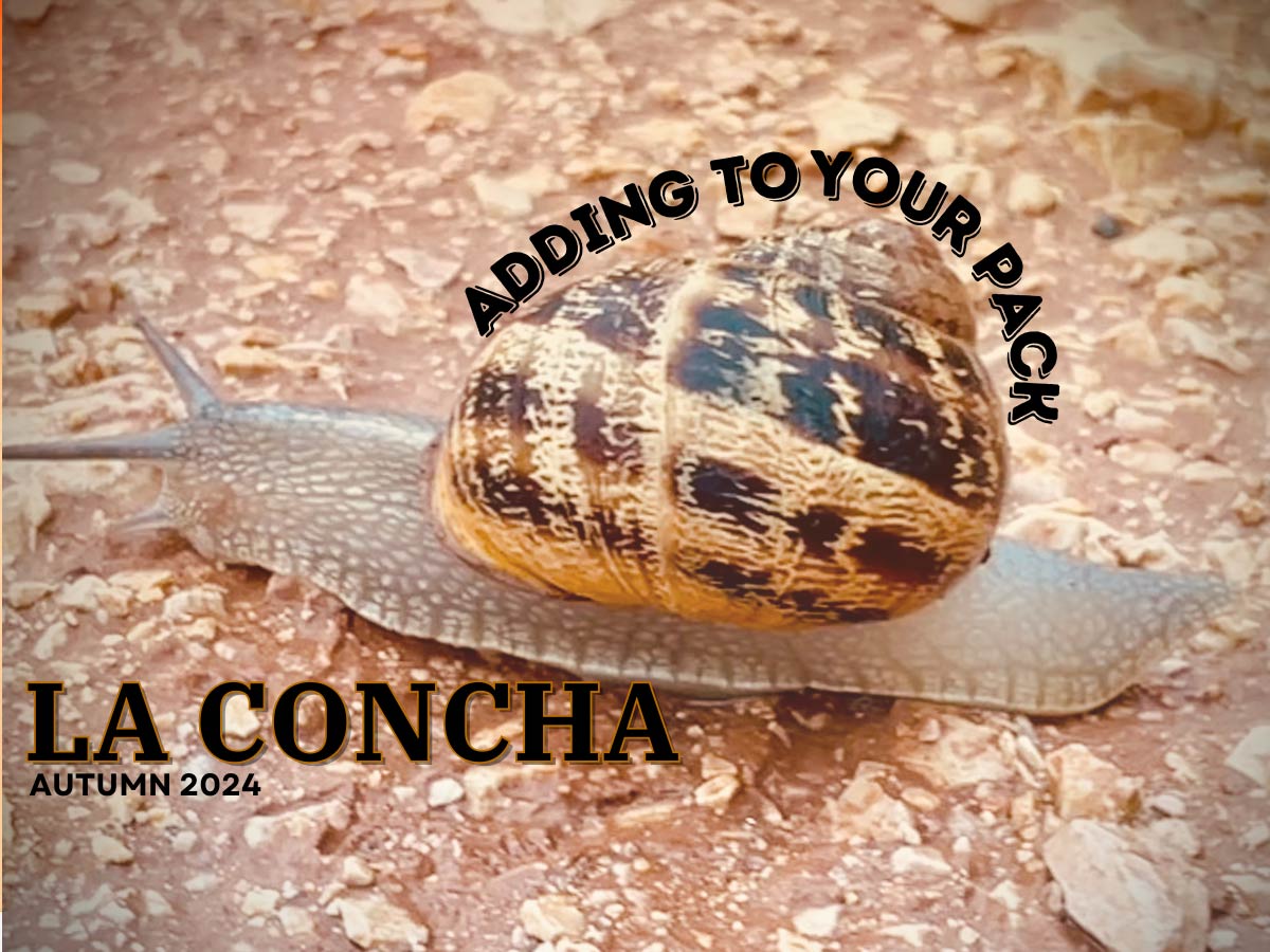 La Concha Fall 2024 Adding to Your Pack, with snail image.