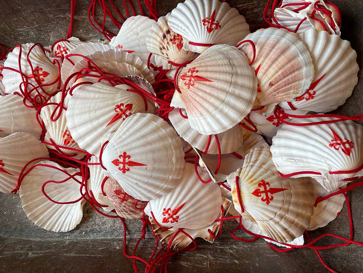 It's So Much More Poem Baldree autumn 2024 la concha, mary baldree, pile of shells.