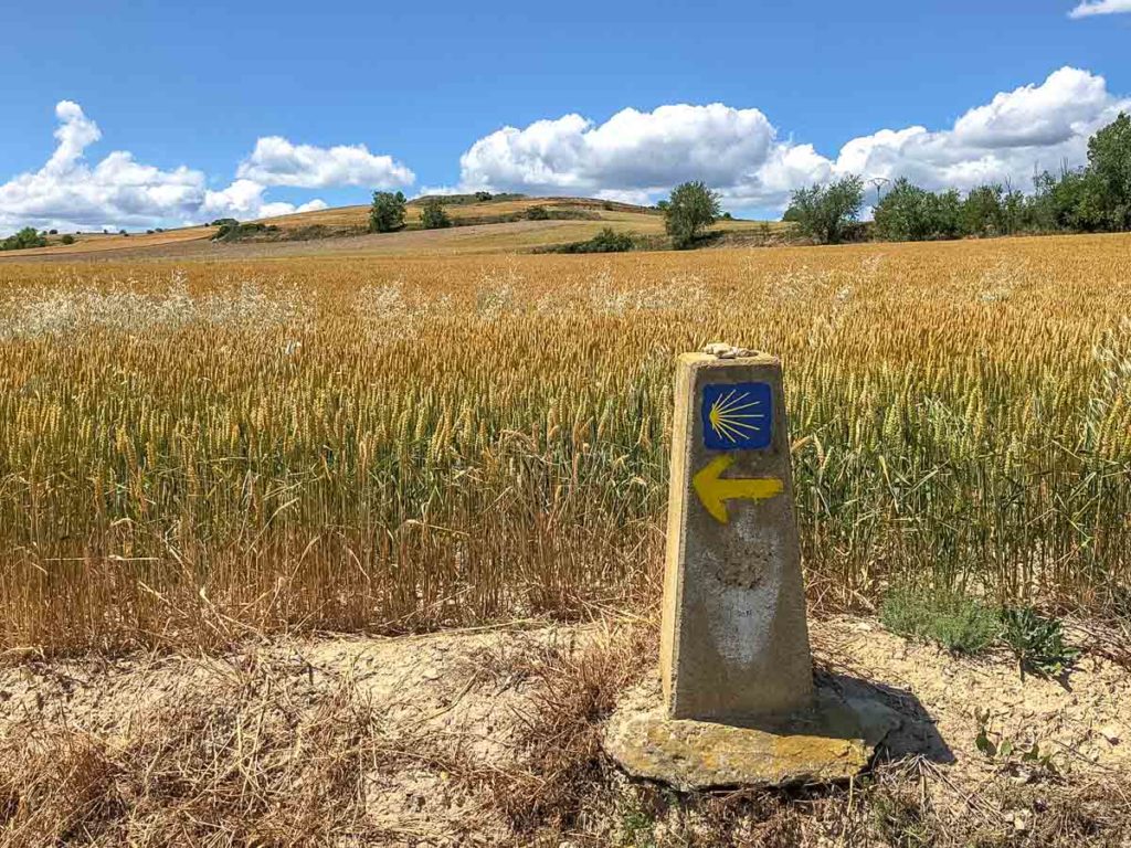 Camino Frances waymarker Navarre