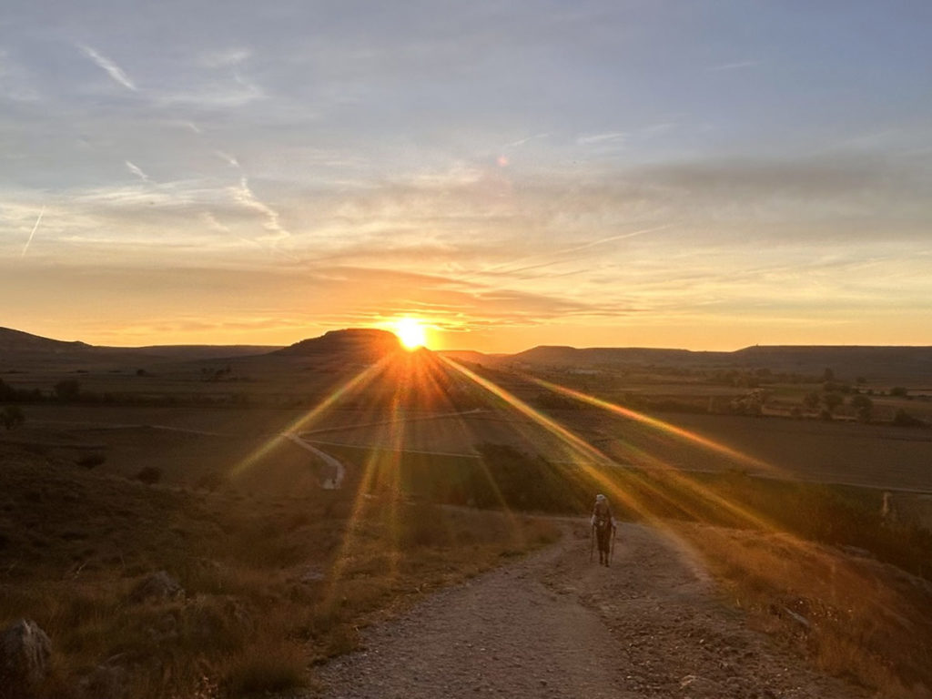 meseta sunlight Laura M Rasmussen winter '25 la concha.