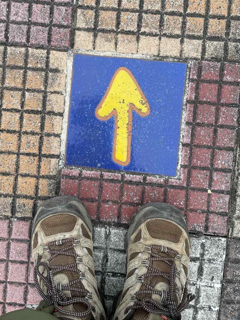 Follow the way gayle spring 2025 la concha