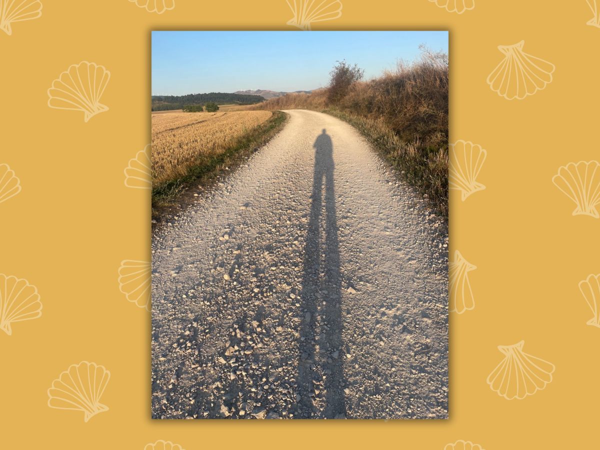 Shadow Pilgrim Baldreee spring 2025 la concha