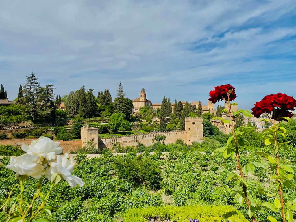 granada landscape rose john casaus summer 2025 la concha