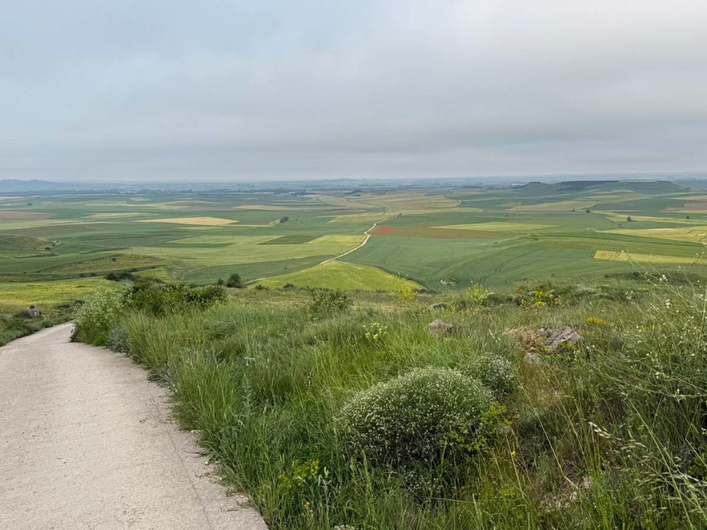 hill view after castrojeriz carol guttery