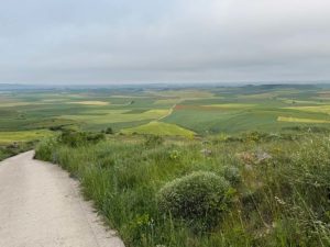 hill view after castrojeriz carol guttery