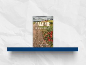 Book Reviews stones on the caminoautumn 2025 la concha