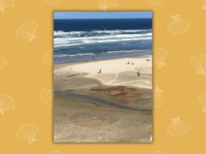 essential walking inner labyrynth susan hummel autumn 2025 la concha