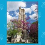 la tour saint-jacques dennis brooke autumn 2025 la concha