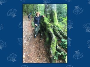 roots intertwine anna bonavita autumn 2025 la concha