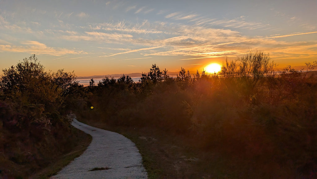 Invierno Penasillas andy cohn