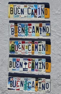 Camino license plates