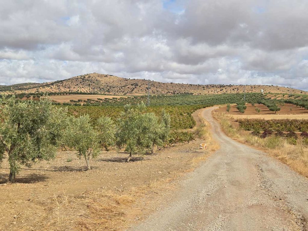 via de la plata outside zafra blaine reda