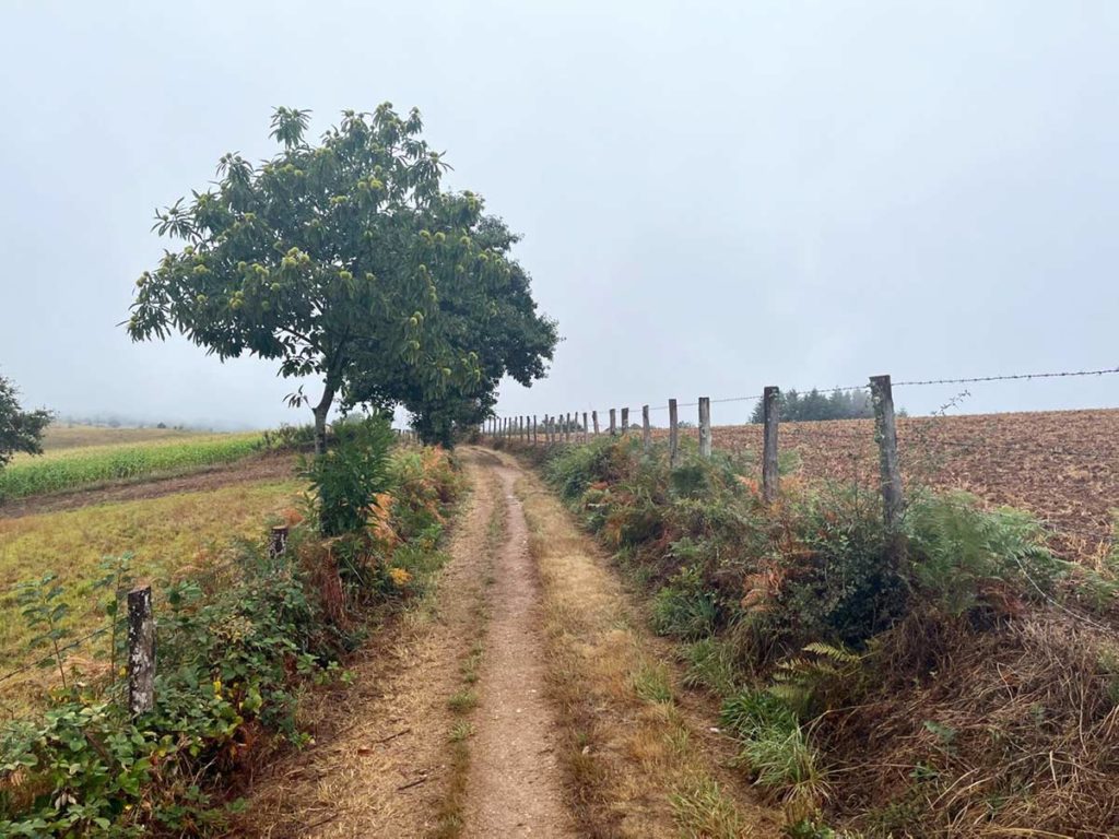 via podiensis Sénergues and Saint-Marcel thom ryng