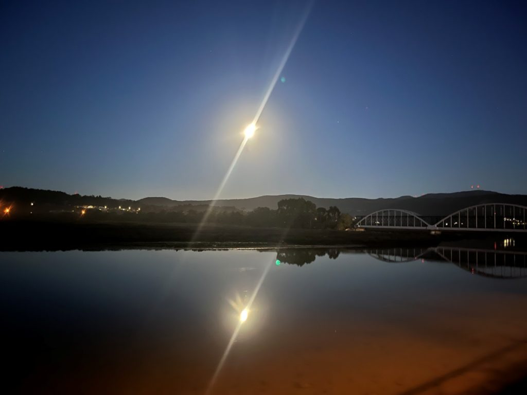 full moon sue skelly.