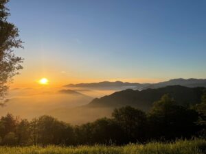 Pyrenees Morning my bardo Cindy Leung
