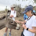 Valley Of The Sun burro Bob Volk