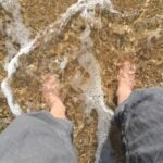 pilgrim soles bill artz