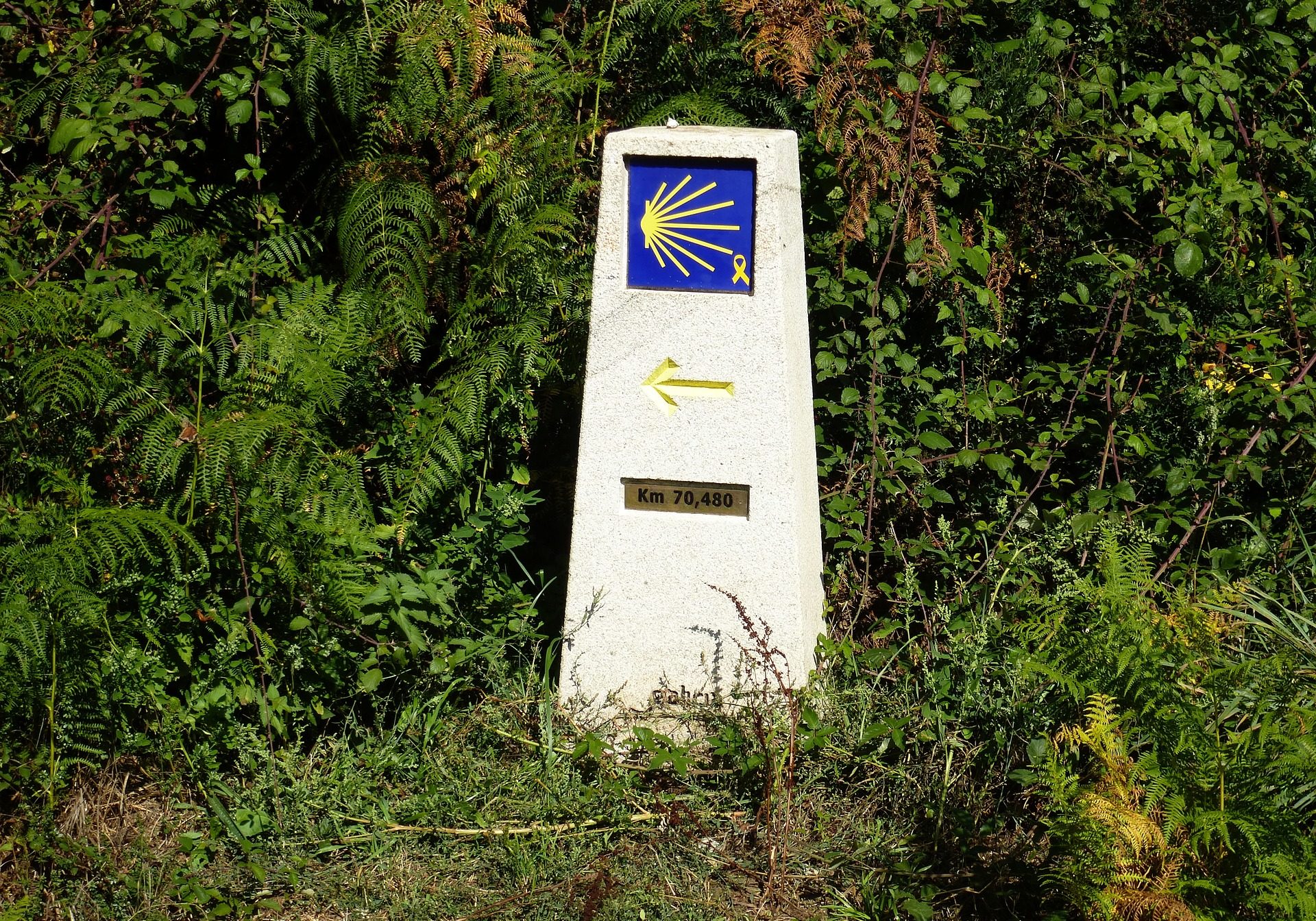 milemarker-way-of-st-james-1757859_1920